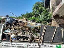 Best Furniture Removal  in Upper Lake, CA